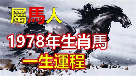 1978馬五行|1978年出生的屬馬人什麼命格？准到爆！